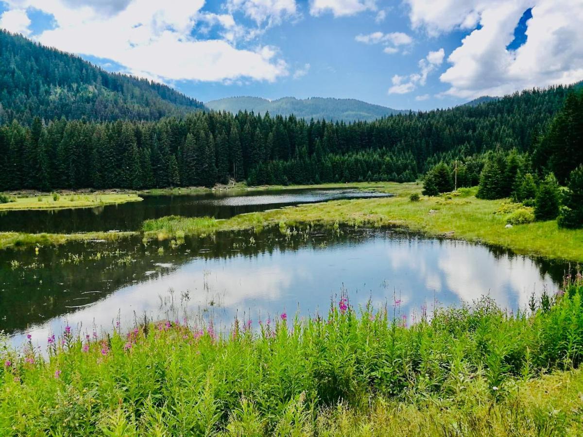 Deer Lake 521 At Oak Residence Hotel & Relax Smolyan Luaran gambar