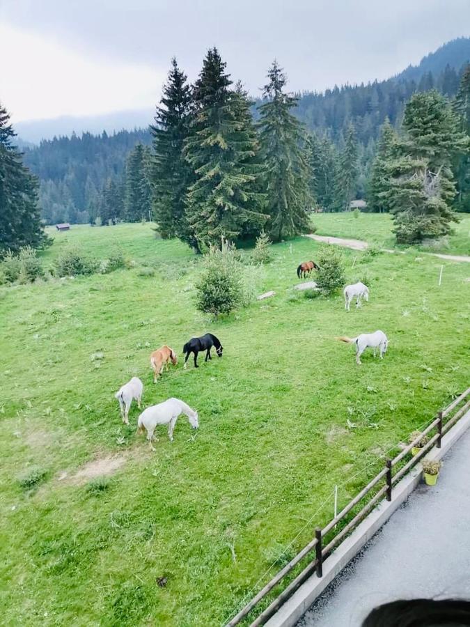 Deer Lake 521 At Oak Residence Hotel & Relax Smolyan Luaran gambar