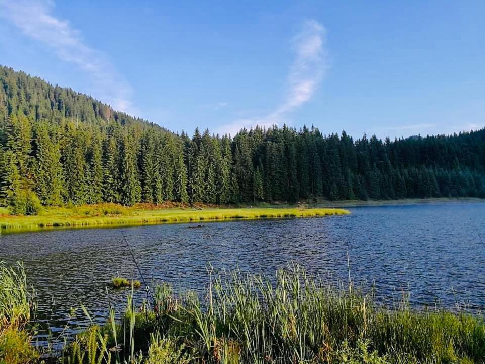Deer Lake 521 At Oak Residence Hotel & Relax Smolyan Luaran gambar